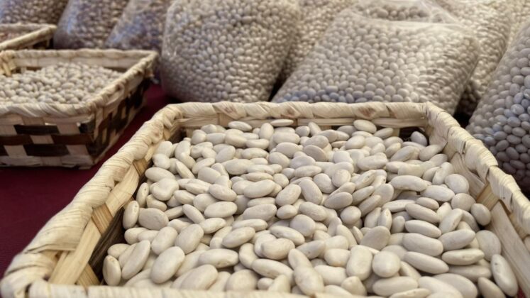 Feria de la Alubia 2025 - Fotos: Ayuntamiento de Salda&ntilde;a