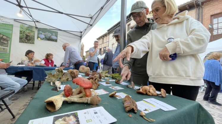 Feria de la Alubia 2025 - Fotos: Ayuntamiento de Salda&ntilde;a