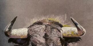 Gonzalo Páez expone sus potentes caballos y toros en el Casino de Palencia