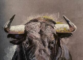 Gonzalo Páez expone sus potentes caballos y toros en el Casino de Palencia