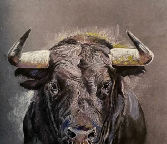 Gonzalo Páez expone sus potentes caballos y toros en el Casino de Palencia