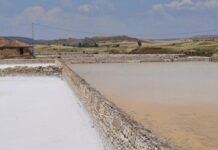 El docente en Palencia Roberto Núñez, ganador del XIII Concurso de Fotografía Geográfica de la AGE Los saladares