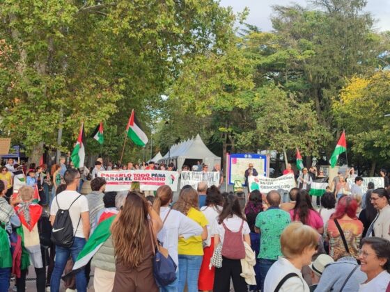 Movilizaci&oacute;n por Palestina en Palencia