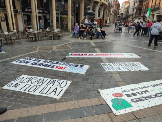 Movilizaci&oacute;n por Palestina en Palencia