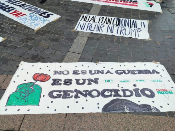 Pancartas de la movilizaci&oacute;n por Palestina en Palencia