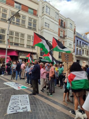 Movilizaci&oacute;n por Palestina en Palencia