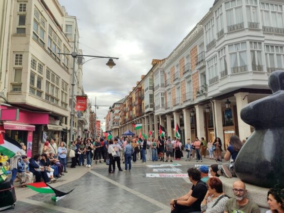 Movilizaci&oacute;n por Palestina en Palencia