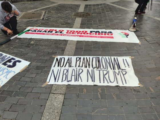 Movilizaci&oacute;n por Palestina en Palencia