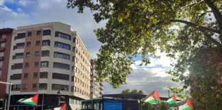 Movilización por Palestina en Palencia