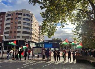Movilización por Palestina en Palencia