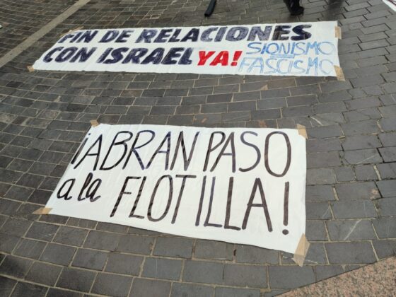 Movilizaci&oacute;n por Palestina en Palencia