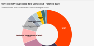 proyecto presupuestos palencia